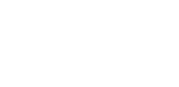 Flex Decor Logo